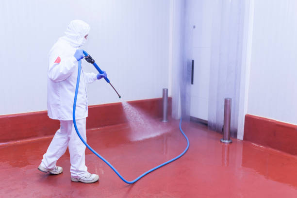 Best Building Exterior Pressure Washing in Keuka Park, NY